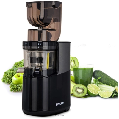 BioChef Atlas Pro Whole Slow Juicer DCWA400 (chernyiy)