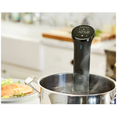 Anova Precision Cooker Nano