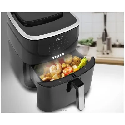 Tesla Aircook & Steam QS500
